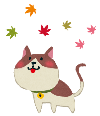 自己紹介 もみじの研究室はどんなサイト 新日本プロレスファンに向けた悩み解決を発信しています もみじのプロレス研究室